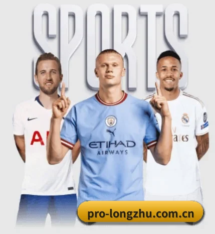 五大服务分区,信息按项目分类
